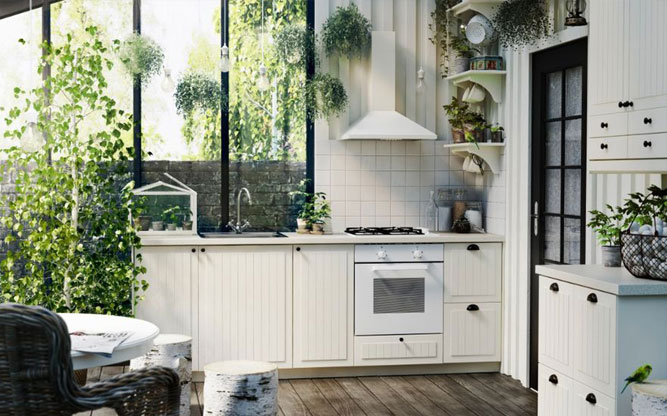 растения и деревья на кухне
