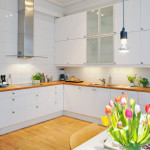 Кухни белого цвета в интерьере кухни