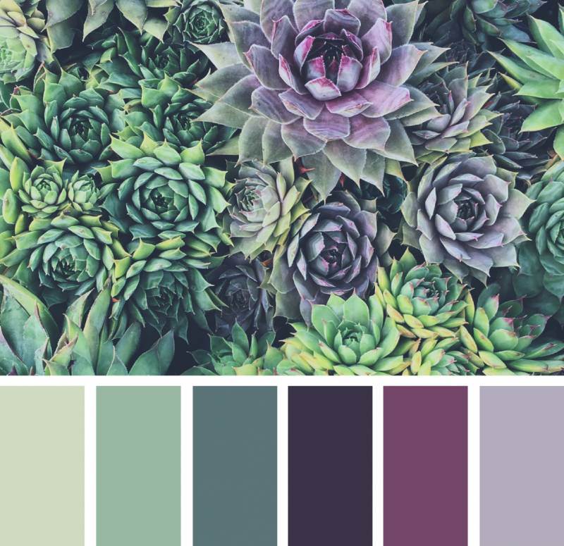 сочетание зеленого и фиолетового цвета