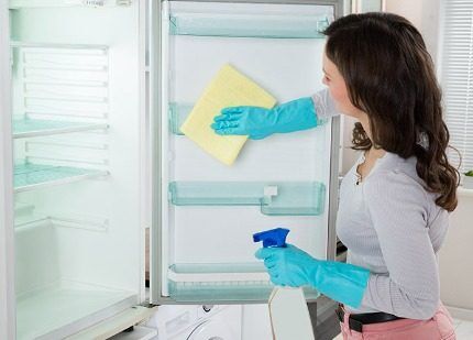 Как выбрать лучший холодильник «Ноу Фрост»: 15 лучших моделей + советы покупателям